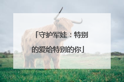 守护军娃：特别的爱给特别的你