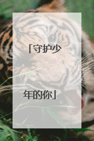 守护少年的你