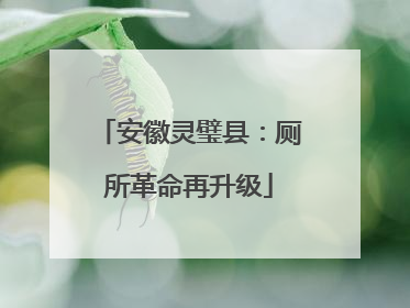 安徽灵璧县：厕所革命再升级