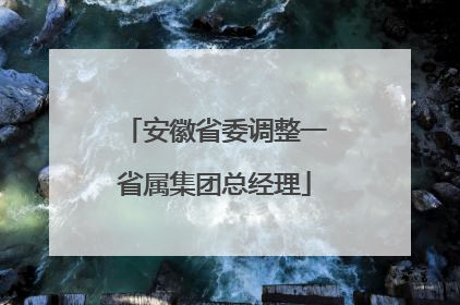 安徽省委调整一省属集团总经理