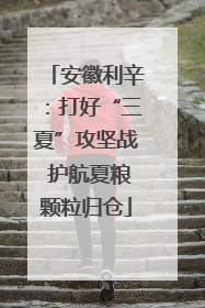 安徽利辛：打好“三夏”攻坚战 护航夏粮颗粒归仓
