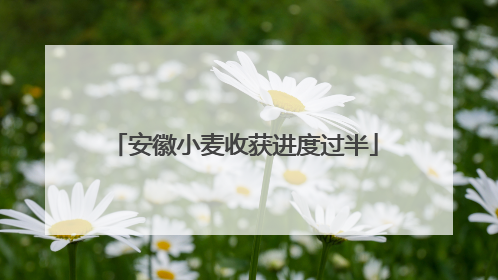 安徽小麦收获进度过半