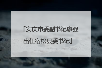 安庆市委副书记廖强出任宿松县委书记