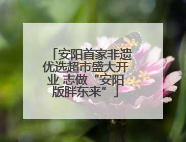 安阳首家非遗优选超市盛大开业 志做“安阳版胖东来”