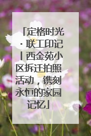 定格时光・联工印记丨西金苑小区拆迁拍照活动，镌刻永恒的家园记忆