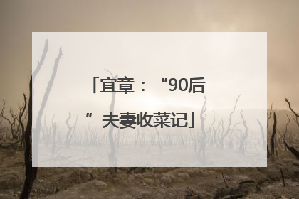 宜章：“90后”夫妻收菜记