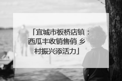 宜城市板桥店镇：西瓜丰收销售俏 乡村振兴添活力