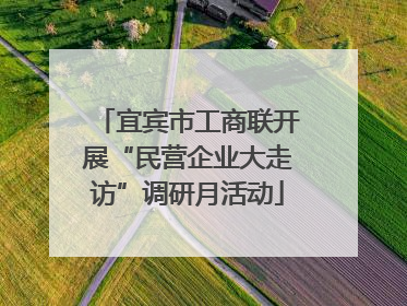 宜宾市工商联开展“民营企业大走访”调研月活动