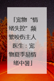 宠物“情绪失控”频繁咬伤主人 医生：宠物夏季易情绪中暑