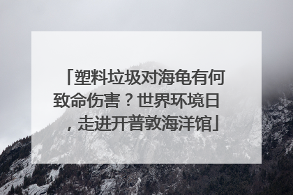 塑料垃圾对海龟有何致命伤害？世界环境日，走进开普敦海洋馆