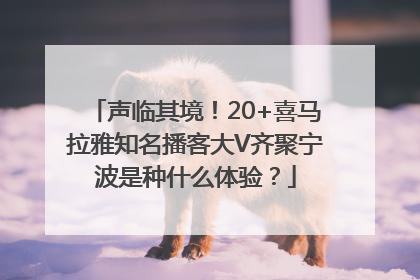 声临其境！20+喜马拉雅知名播客大V齐聚宁波是种什么体验？