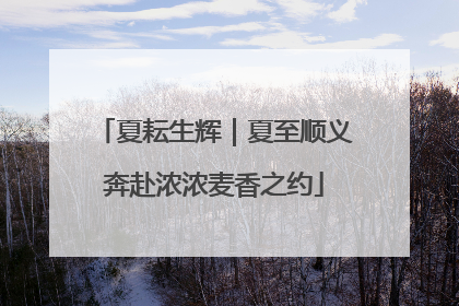 夏耘生辉｜夏至顺义奔赴浓浓麦香之约