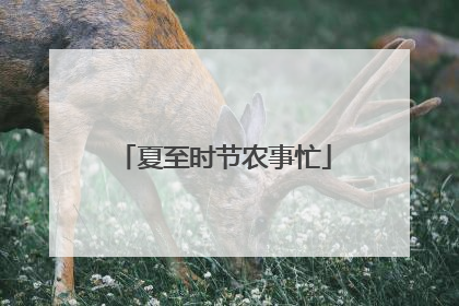夏至时节农事忙