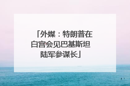 外媒：特朗普在白宫会见巴基斯坦陆军参谋长