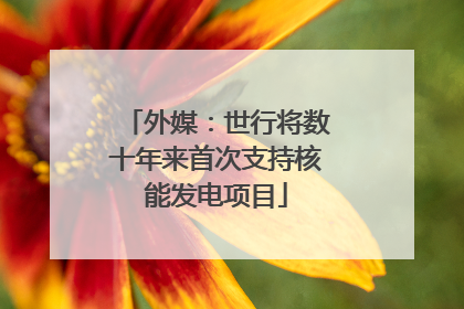 外媒：世行将数十年来首次支持核能发电项目