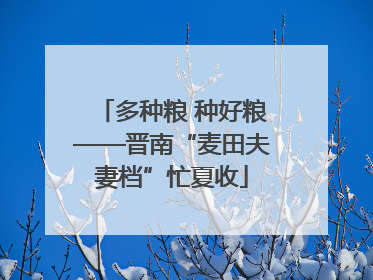 多种粮 种好粮——晋南“麦田夫妻档”忙夏收
