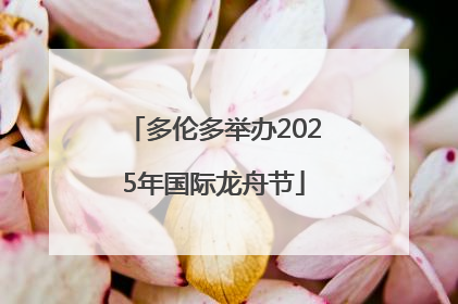 多伦多举办2025年国际龙舟节