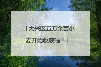 大兴区五万余亩小麦开始收获啦！