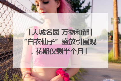 大城名园 万物和谐│“白衣仙子”盛放引围观，花期仅剩半个月