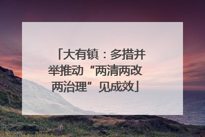 大有镇：多措并举推动“两清两改两治理”见成效