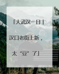 大武汉一日︱汉口老街上新，太“豆”了