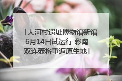 大河村遗址博物馆新馆6月14日试运行 彩陶双连壶将重返原生地