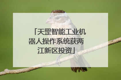 天罡智能工业机器人操作系统获两江新区投资