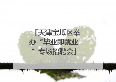 天津宝坻区举办“毕业即就业”专场招聘会