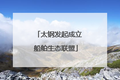 太钢发起成立船舶生态联盟
