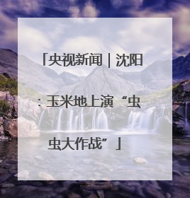 央视新闻｜沈阳：玉米地上演“虫虫大作战”