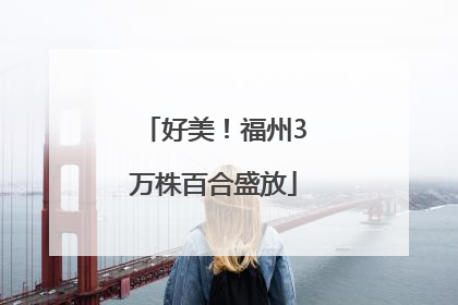 好美！福州3万株百合盛放
