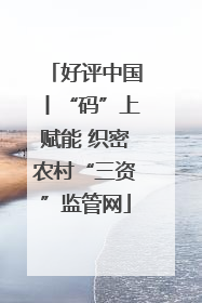 好评中国丨“码”上赋能 织密农村“三资”监管网