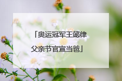奥运冠军王懿律父亲节官宣当爸