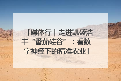 媒体行｜走进凯盛浩丰“番茄硅谷”：看数字神经下的精准农业