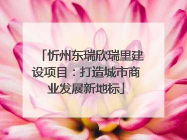 忻州东瑞欣瑞里建设项目：打造城市商业发展新地标