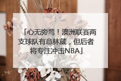 心无旁骛！澳洲联赛两支球队有意林葳，但后者将专注冲击NBA