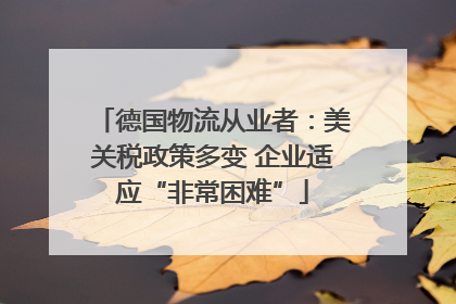德国物流从业者：美关税政策多变 企业适应“非常困难”