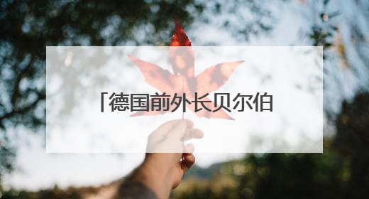 德国前外长贝尔伯克当选下一届联大主席，今年9月上任