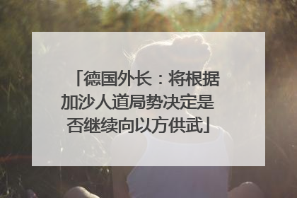 德国外长：将根据加沙人道局势决定是否继续向以方供武
