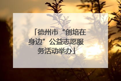 德州市“创培在身边”公益志愿服务活动举办