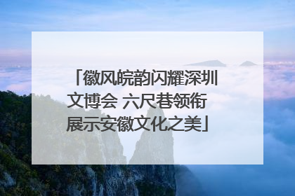 徽风皖韵闪耀深圳文博会 六尺巷领衔展示安徽文化之美