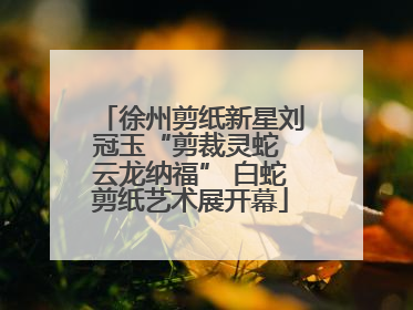 徐州剪纸新星刘冠玉“剪裁灵蛇 云龙纳福” 白蛇剪纸艺术展开幕