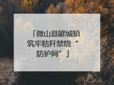 微山县驩城镇筑牢秸秆禁烧“防护网”