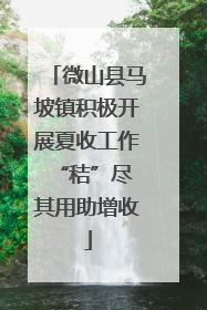 微山县马坡镇积极开展夏收工作 “秸”尽其用助增收
