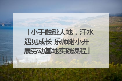 小手触碰大地，汗水遇见成长 乐师附小开展劳动基地实践课程