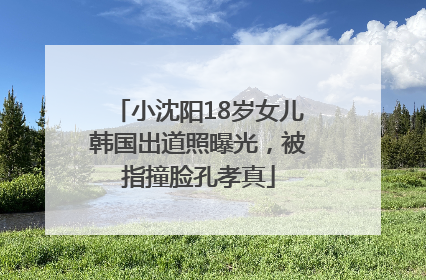 小沈阳18岁女儿韩国出道照曝光，被指撞脸孔孝真