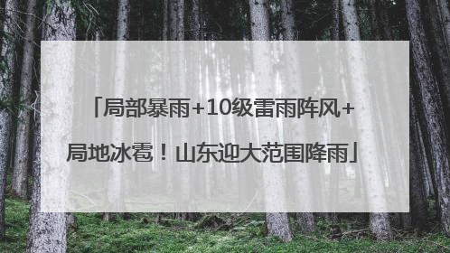 局部暴雨+10级雷雨阵风+局地冰雹！山东迎大范围降雨