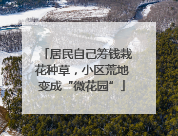 居民自己筹钱栽花种草，小区荒地变成“微花园”