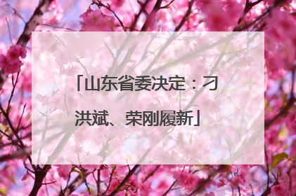 山东省委决定：刁洪斌、荣刚履新