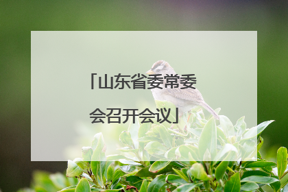 山东省委常委会召开会议